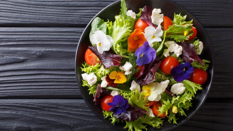 prato com flores alimentícias visto de cima.