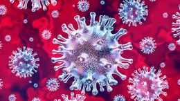 imagem de um coronavirus ampliado, em branco com fundo vermelho.