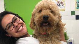 imagem da veterinária sorrindo com um grande cão no colo