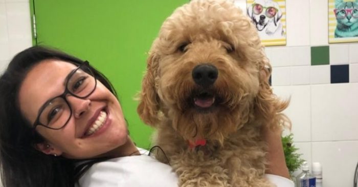 imagem da veterinária sorrindo com um grande cão no colo