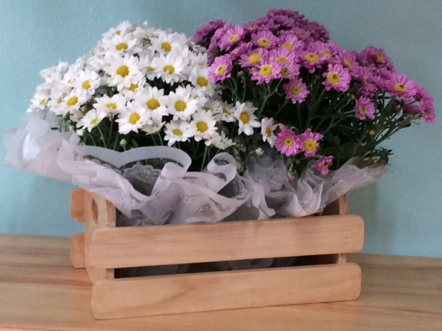 Jandireira de ripas de madeira para dois vasos pequenos, com dois vasos de flores coloridas. Alternativa