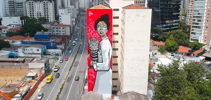 Pintura na lateral de um prédio: uma Veterinária em pé, carregando um gato no colo.
