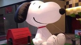 Snoopy Inflável que será atração na exposição do Shopping Ibirapuera