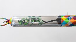 cilindro de oxigenio pintado por Eduardo Kobra, na horizontal, a pintura dá a impressão de um recipinente transparence com uma pequena arvore plntada na terra dentro dele.