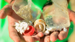 imagem de duas mãos mostrando lixo recolhido em operação praia limpa