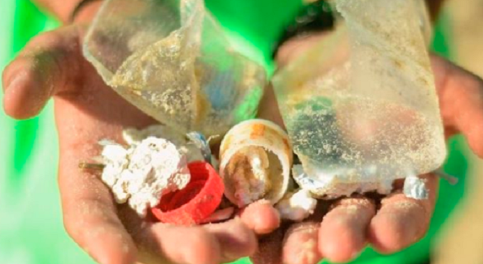 imagem de duas mãos mostrando lixo recolhido em operação praia limpa