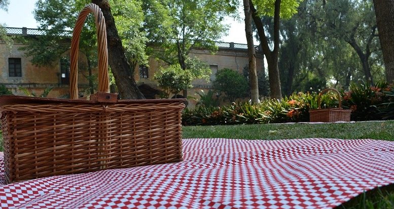 imagem de uma cesta de picnic sobre uma toalha quadriculada de vermeho e branco