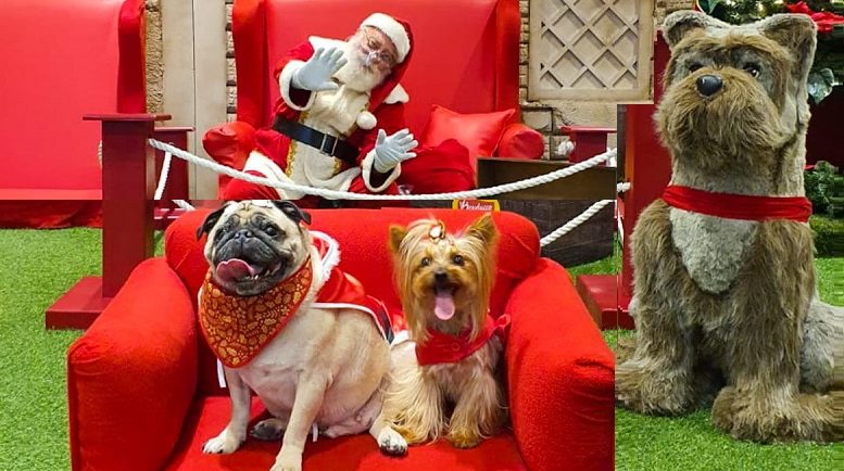imagem de um espaço do papai noel, em primeiro plano uma poltrona vermelha com dois cachorrinhos, e ao fundo um trono vermelho e Papai Noel dando tchauzinho para a foto. Ao lado, um grande cachorro de pelúcia.