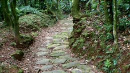 imagem da Calçada do Lorena é um dos atrativos do Parque Caminhos do Mar. um caminho de pedras, em meio a uma mata fechada.