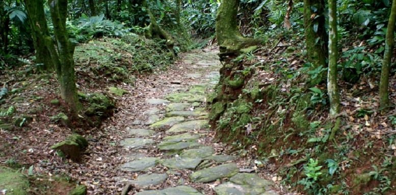 imagem da Calçada do Lorena é um dos atrativos do Parque Caminhos do Mar. um caminho de pedras, em meio a uma mata fechada.