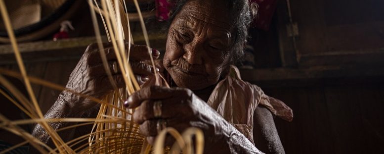 senhora idosa da Amazônia trabalhando em Cestaria (tribo Baniwa)