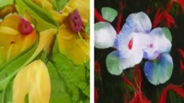 imagens de flores da exposição Botannica Tirannica