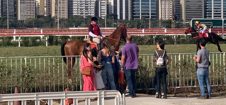 Imagem de algumas pessoas do publico converando com um jockey montado a cavalo após uma corrida
