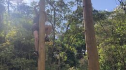 imagem de pessoas subindo em troncos - que são parte da torre de desafios do Paiol