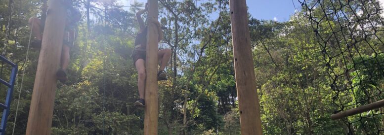 imagem de pessoas subindo em troncos - que são parte da torre de desafios do Paiol