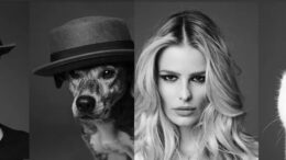 fotos em preto e branco em close do ator bruno gagliasso e de um cachorro vilalata, ambos com chapéu, e de uma modelo e um gato