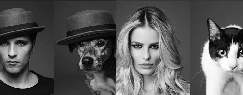 fotos em preto e branco em close do ator bruno gagliasso e de um cachorro vilalata, ambos com chapéu, e de uma modelo e um gato