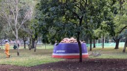 imagem do cachorrodromo do ibirapuera com um pote gigante de comida (fake) da petlove no gramado
