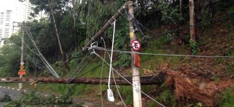 imagem de uma árvore caída sobre fiação eletrica