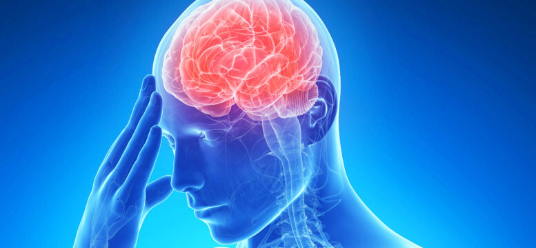 desenho em azul de um humano com transparência mostrando os ossos e o cérebro em vermelho