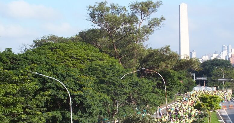 imagem do troféu cidde de são paulo de 2023