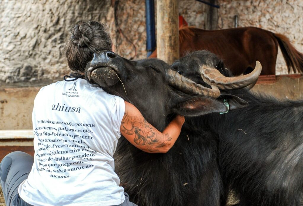 imagem de uma mulher de costas abraçada a uma búfala que encosta o focinho em seu ombro e fecha os olhos.