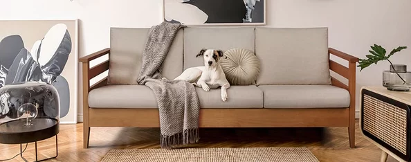 Imagem de uma sala com sofá de 3 lugares, visto de frente, com almofadas, uma manta e um cachorro.