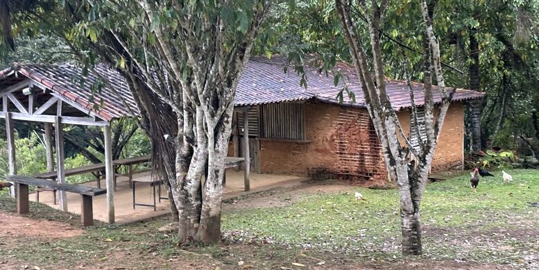 imagem de uma casa de pau-a-pique em um local arborizado