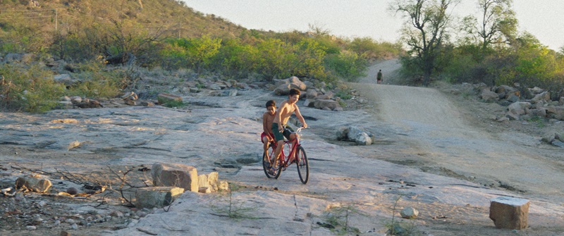 dois garotos andando em uma mesma bicicleta no meio de um chão de rochas e alguma vegetação