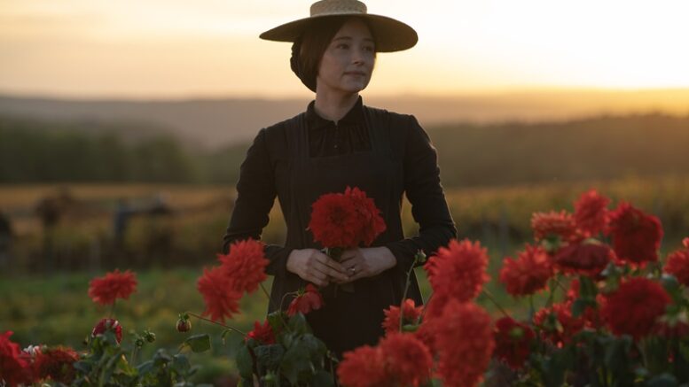 mulher em vestido preto com chapéu em um campo de flores vermelhas francês.