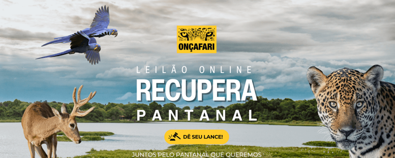 baner com uma foto do pantanal e aplicação de alguns animais: duas araras azuis, um veado e uma onça. e os dizeres leilão online recupera pantanal, além da logo do onçafari