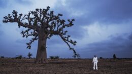 paisagem árida com céu azul turquesa e um grande baobá, destaca-se um homem vestido de branco