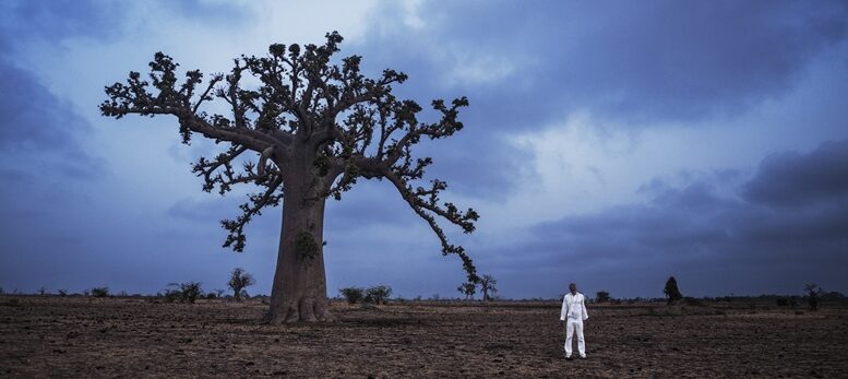 paisagem árida com céu azul turquesa e um grande baobá, destaca-se um homem vestido de branco