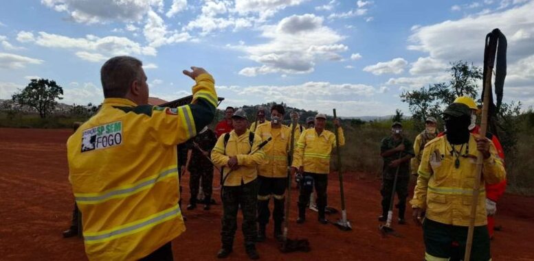 imagem de grupo de brigadistas com uniformes amarelos, em campo