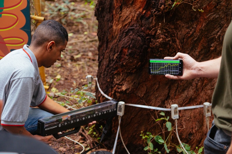 funcionários da prefeitura com equipamento de medição atuando em árvore e um parque
