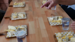 mesa de degustação com vários 'kits' - tabuas de madeira e pedaços de queijos diferentes em cada uma