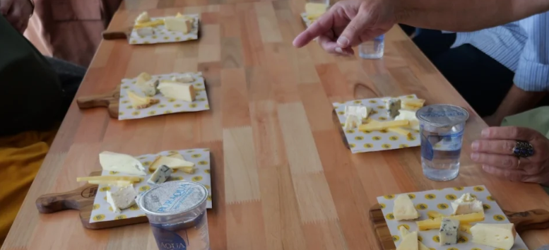 mesa de degustação com vários 'kits' - tabuas de madeira e pedaços de queijos diferentes em cada uma