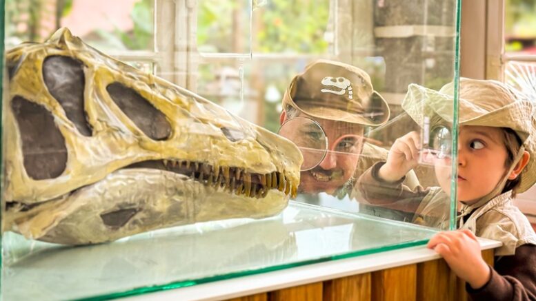 imagem de menino com lupa e adulto olhando para uma cabeça de fóssil em uma vitrine