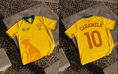 frente e verso da camisetad vira lata caramelo
