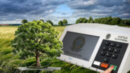 montagem de imagem de urna eletronica e árvore com um fundo de campo e céu ao anoitecer