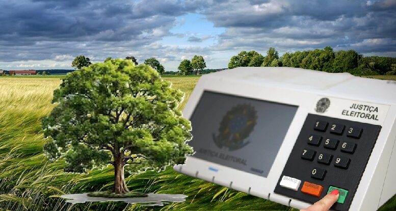 montagem de imagem de urna eletronica e árvore com um fundo de campo e céu ao anoitecer